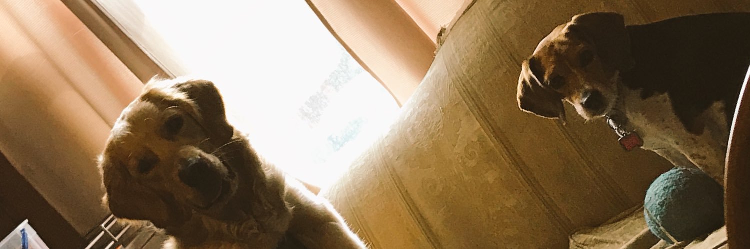 huntt68's profile banner image