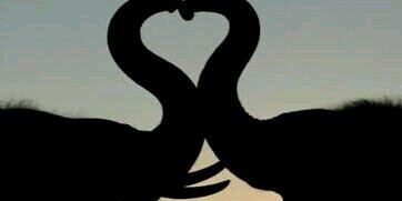 Brendaa_Ge's profile banner image