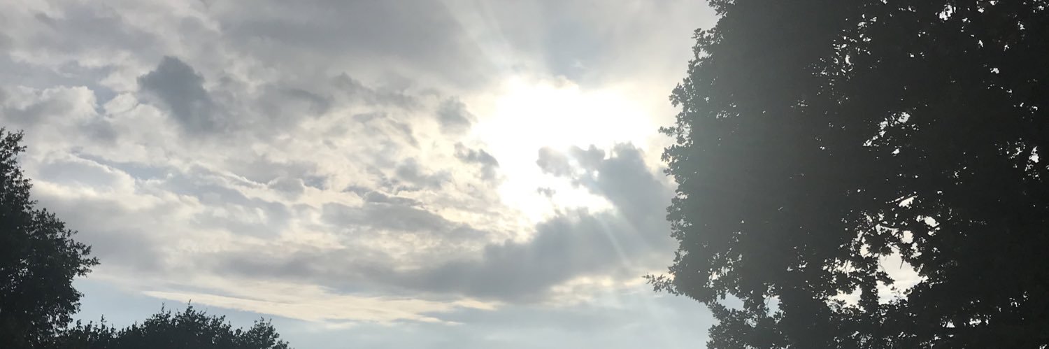 ThurlowLaura's profile banner image