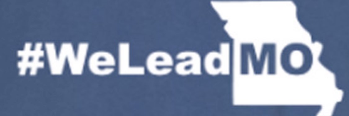 MAESP's banner
