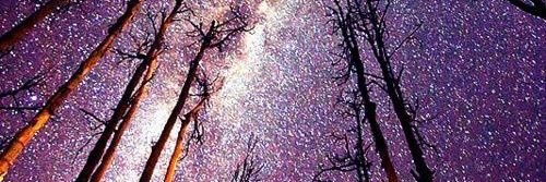 ZoeMichaela9's profile banner image