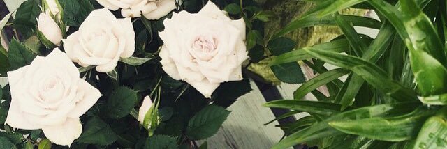 AmyElisa1's profile banner image
