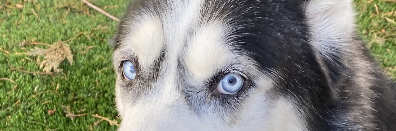 kikibrew's profile banner image