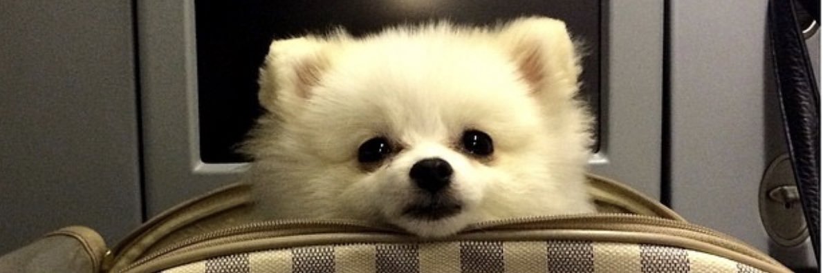MDLaraBC's profile banner image
