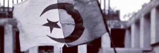 Lutfi_Alg's profile banner image