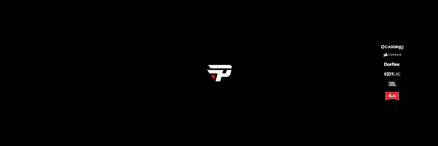 paINAcee's profile banner image