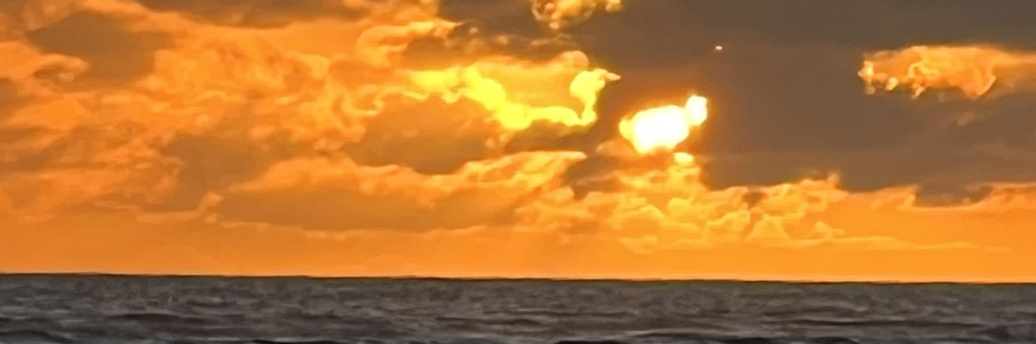 StitchinNeedles's profile banner image