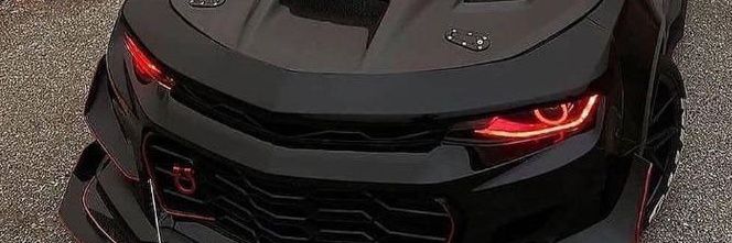 tauvimnuevoleon's profile banner image