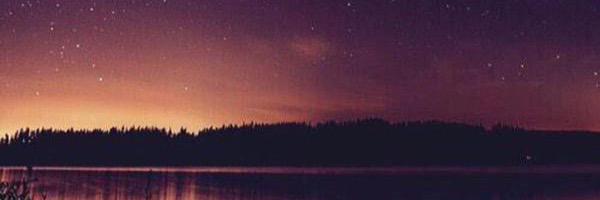 Courtney Darnall banner