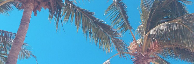 CallyPatterson's profile banner image