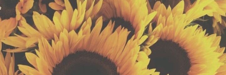 LuuRigo's profile banner image