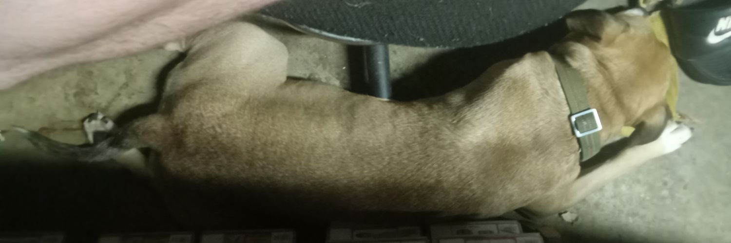 Tha240guy's profile banner image