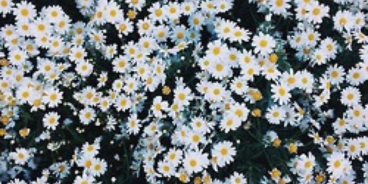 Romxyne's profile banner image