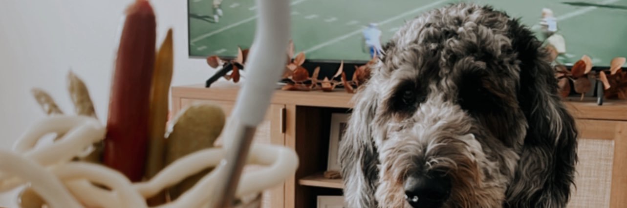 lexikeener00's profile banner image