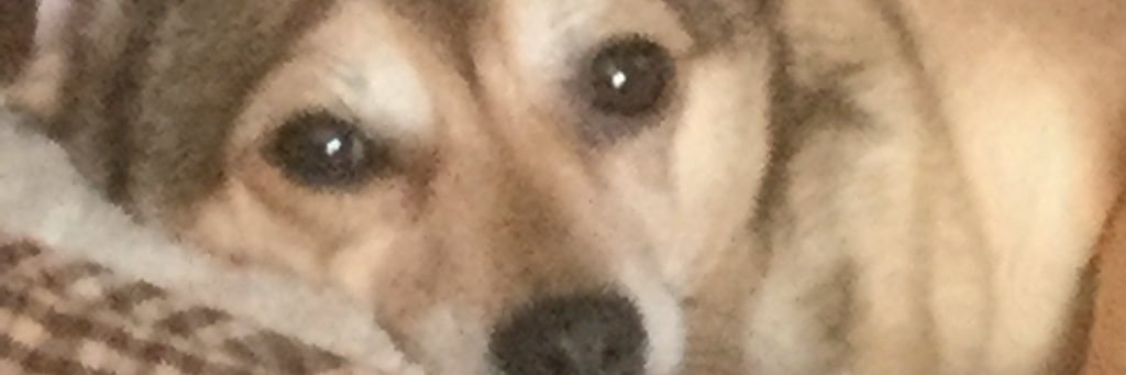 nadia71985's profile banner image