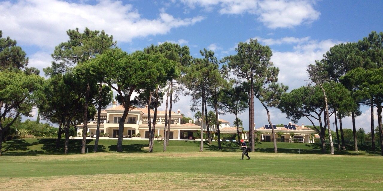 Deano findley banner