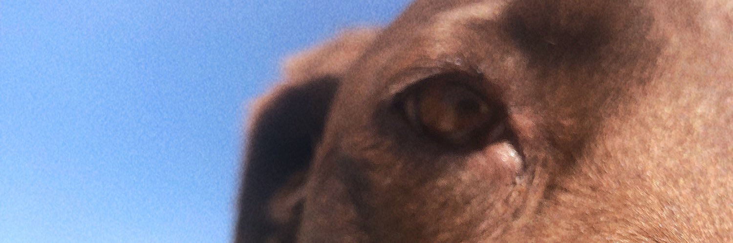 MirandaSMays's profile banner image