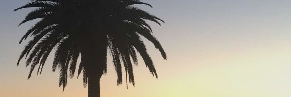 B_Garnet8's profile banner image