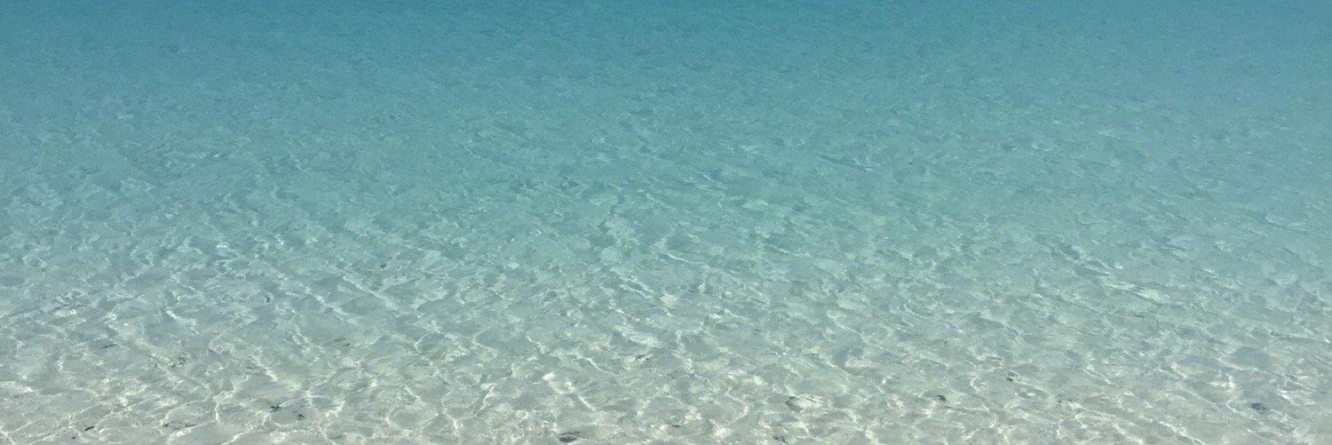 natDiGiulio's profile banner image