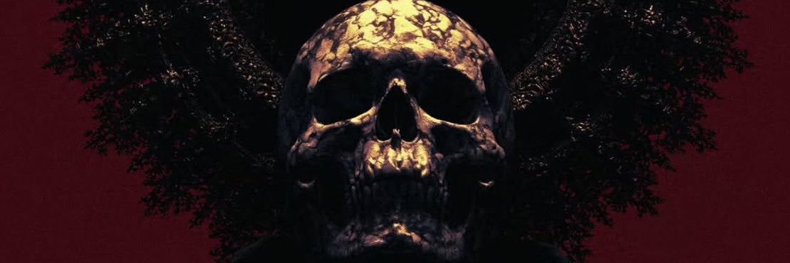 Shinichisaan's profile banner image