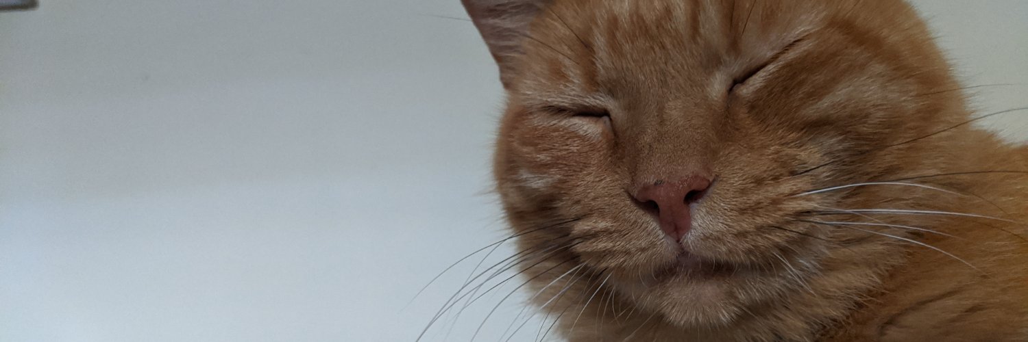 QuackItanium's profile banner image