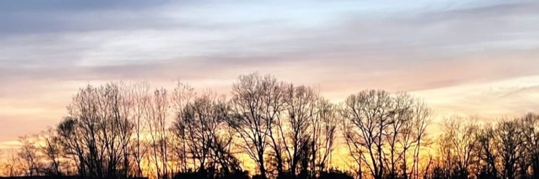 Daaph1's profile banner image