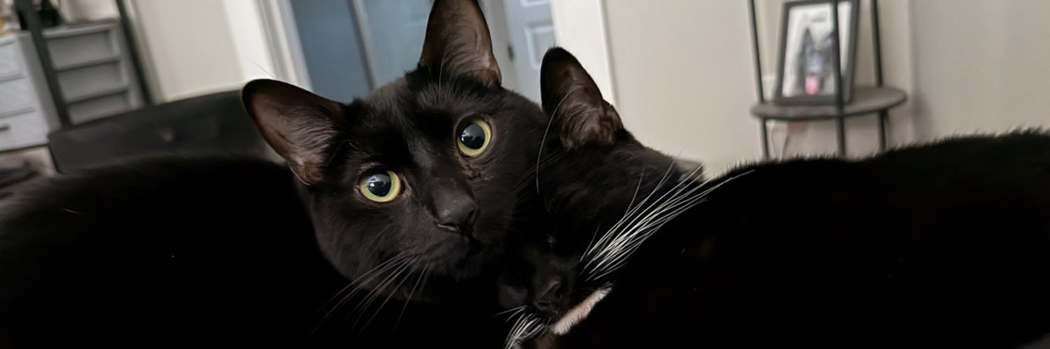 huddy_boy's profile banner image