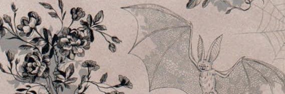 shrimpfried97's profile banner image