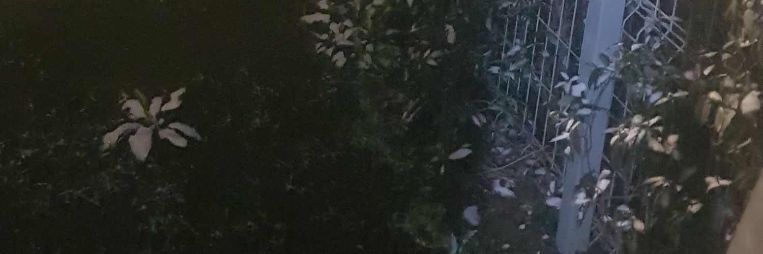 rebiskam's profile banner image
