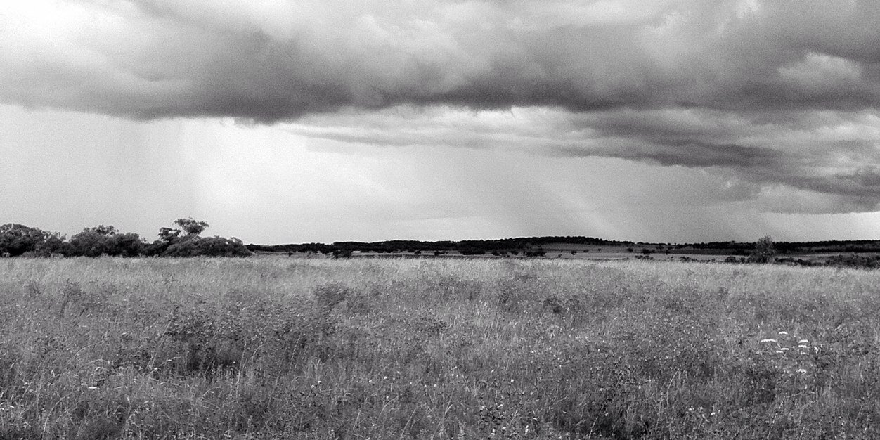 Chris Rainger banner