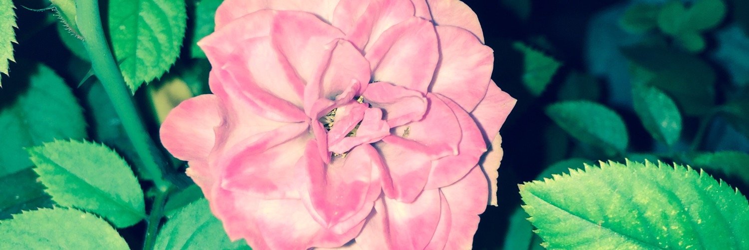 Ayee_mely's profile banner image