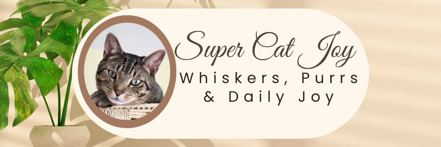 Phyllis Wheeler - Super Cat Joy banner