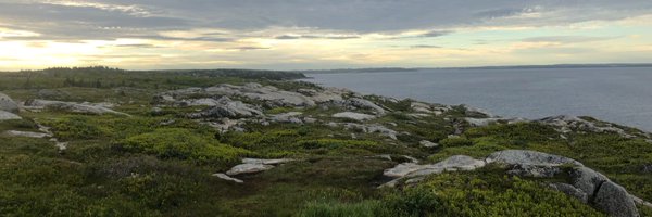 Fvjones Profile Banner