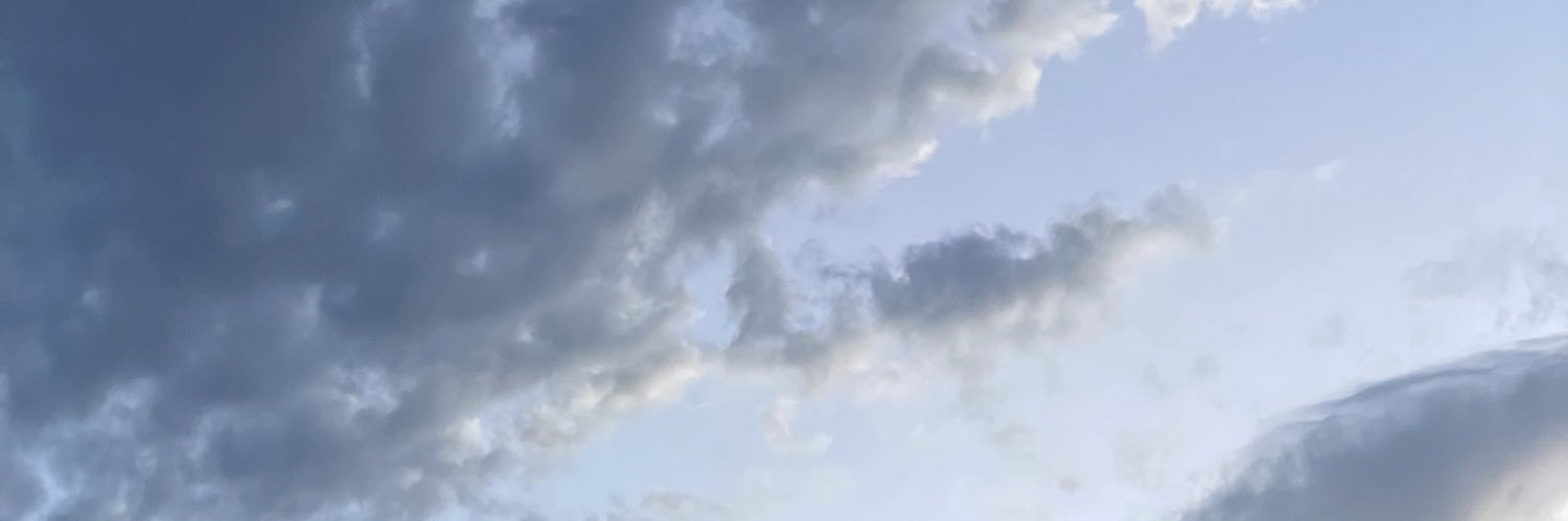 rooaaargh's profile banner image