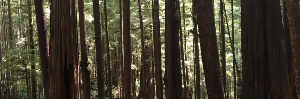 clintparcher's profile banner image