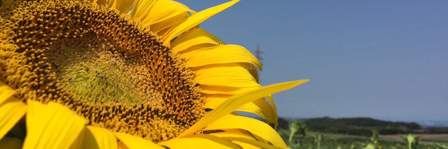 head_is's profile banner image