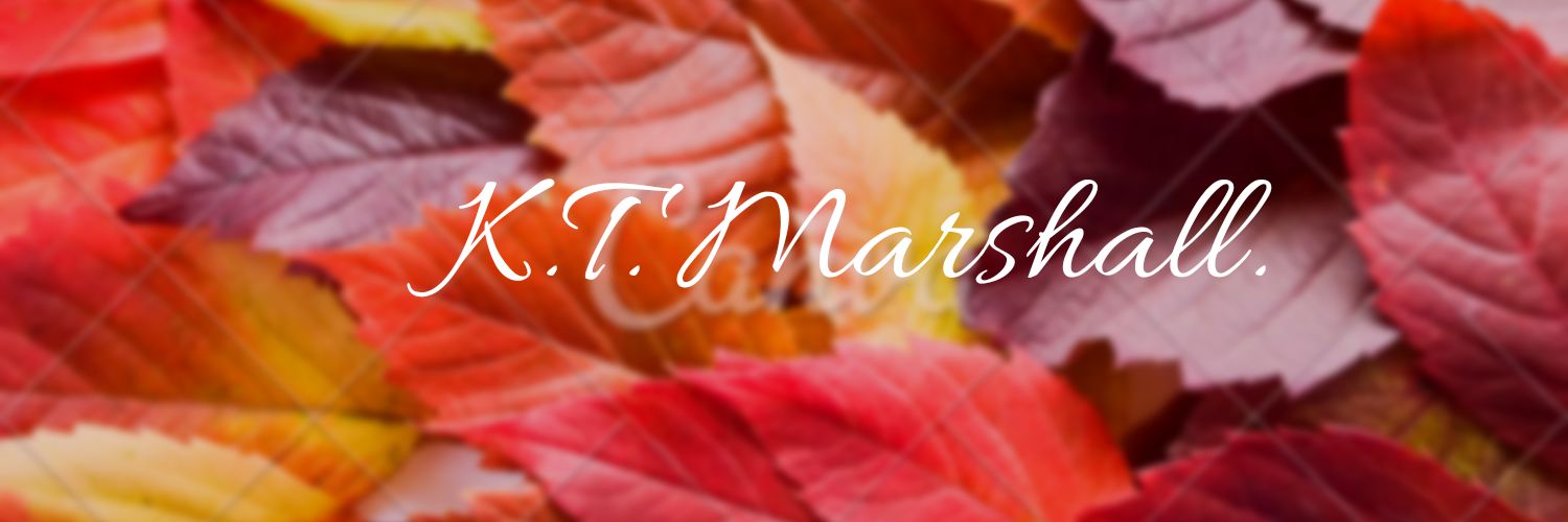 KTMarshwriter's profile banner image