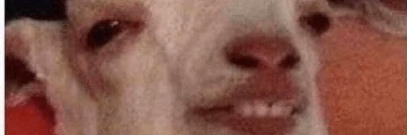 EmilyTisckos's profile banner image
