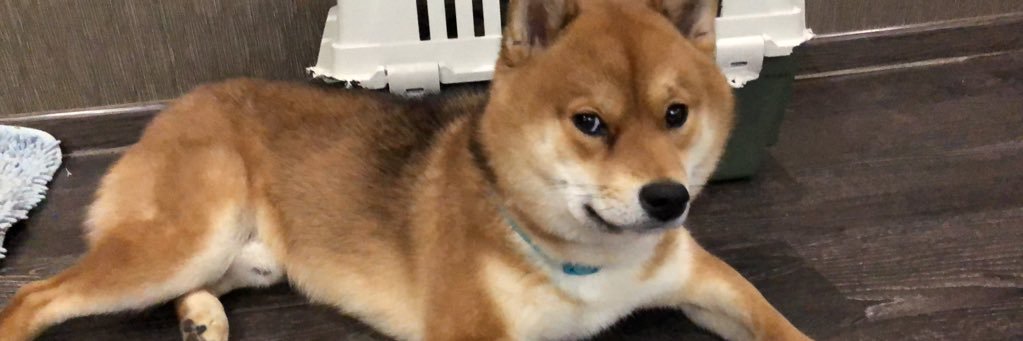 suuperduper's profile banner image