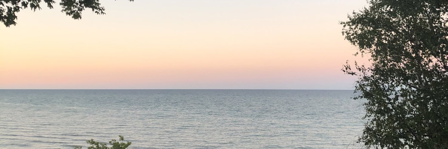 selenab01's profile banner image