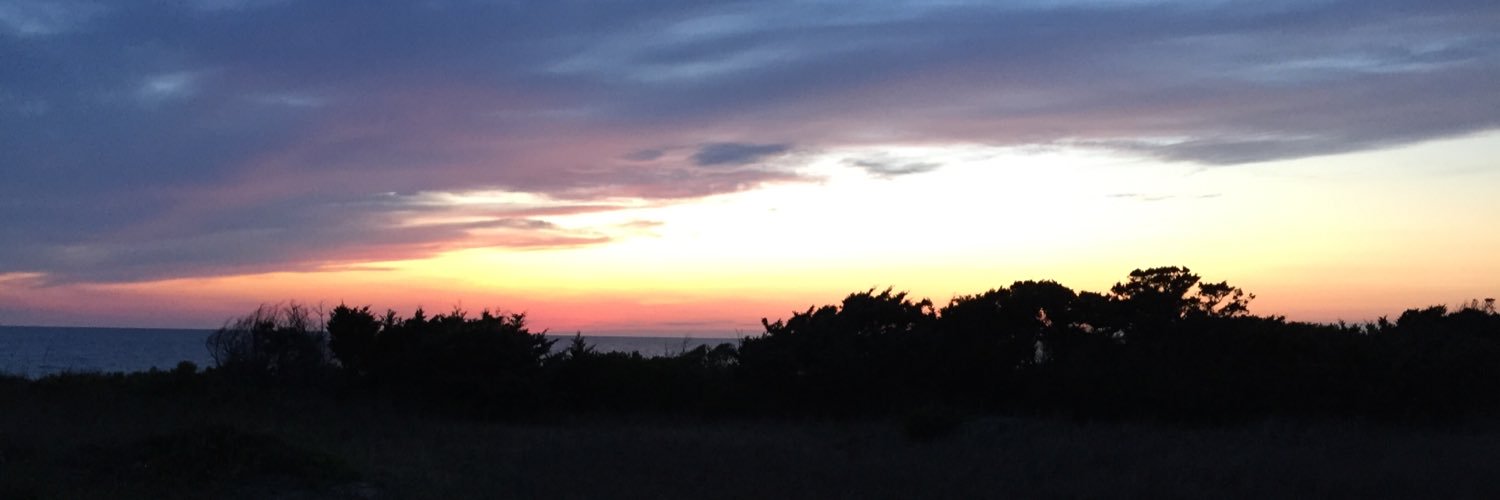 Anna_Braswell's profile banner image