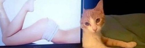 httpbgirl_'s profile banner image
