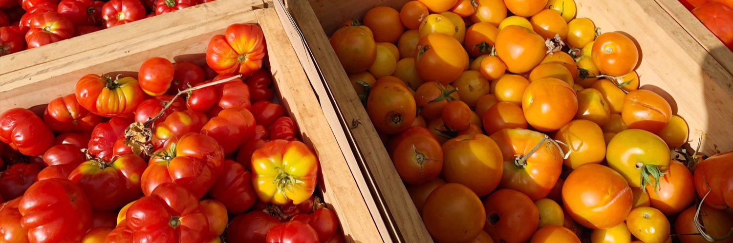 Audrey Bourget banner