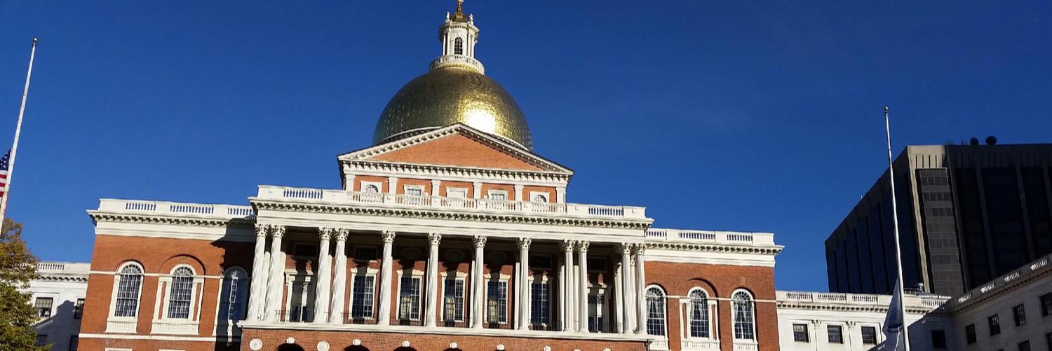 Susannah Whipps banner