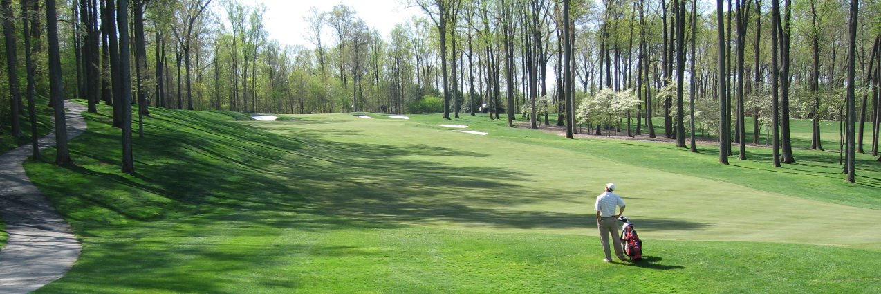 John Schimenti banner