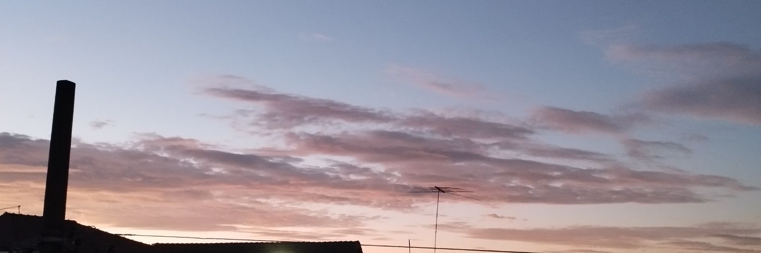 SimonePTelles's profile banner image