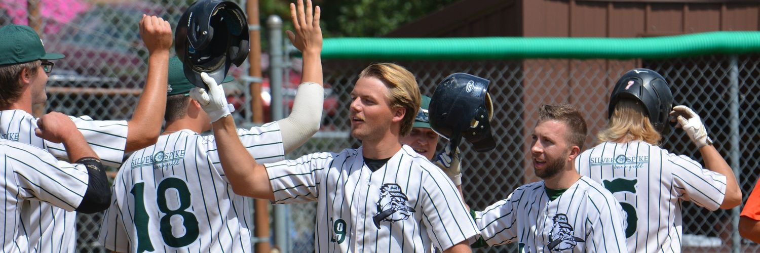 Sterling Haphey banner