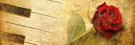 Britbear888's profile banner image