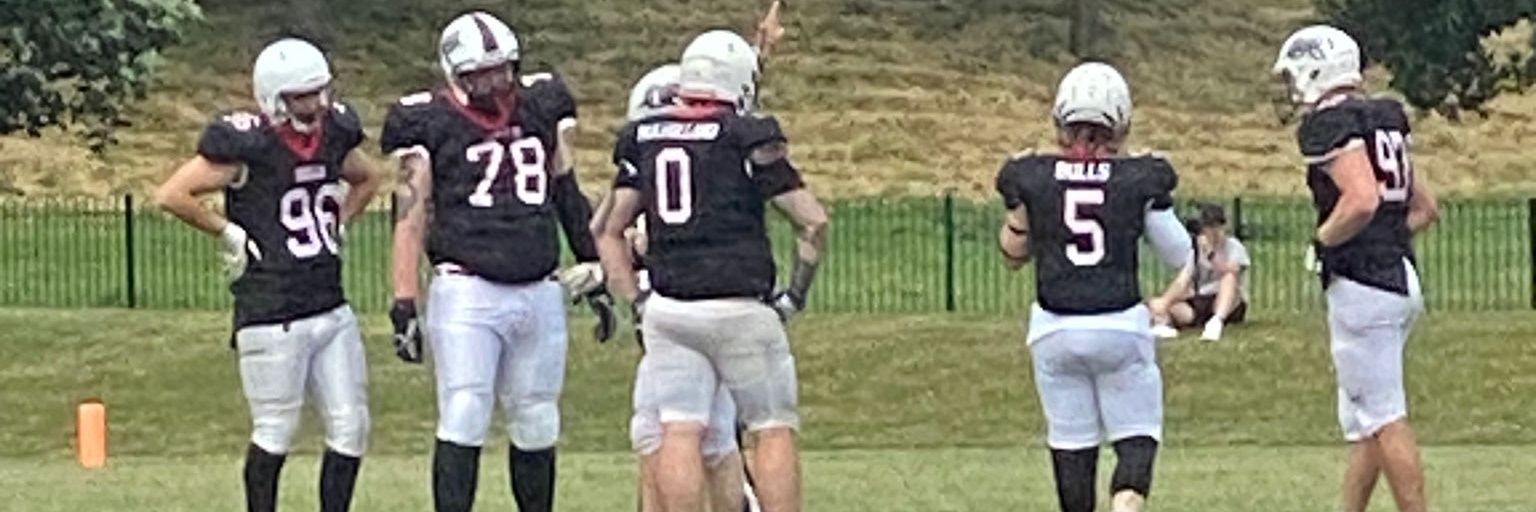 The Paul Walker banner