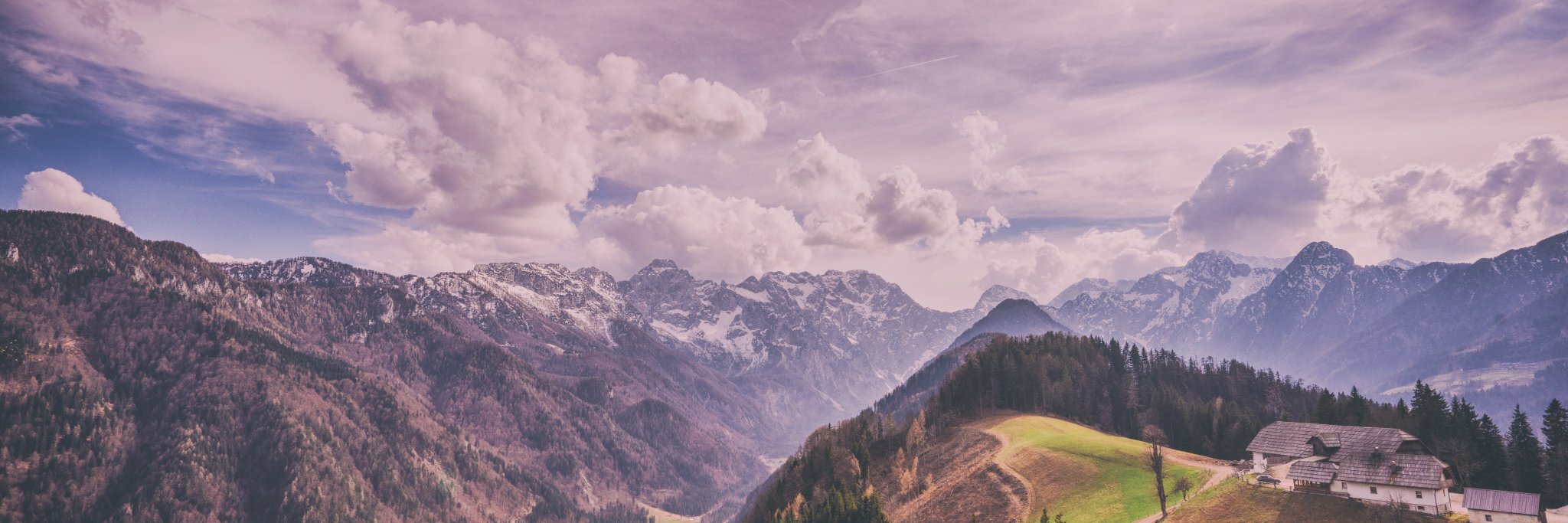 beryanward's profile banner image
